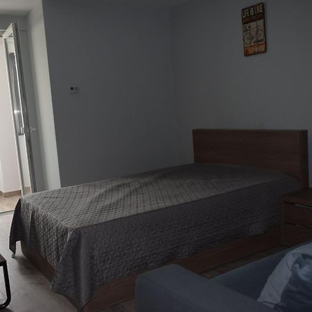 Apartament Palatul De Justitie Rhbm Baia Mare Buitenkant foto