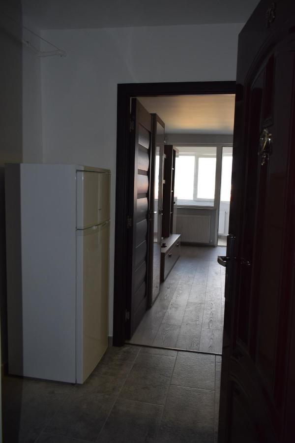 Apartament Palatul De Justitie Rhbm Baia Mare Buitenkant foto