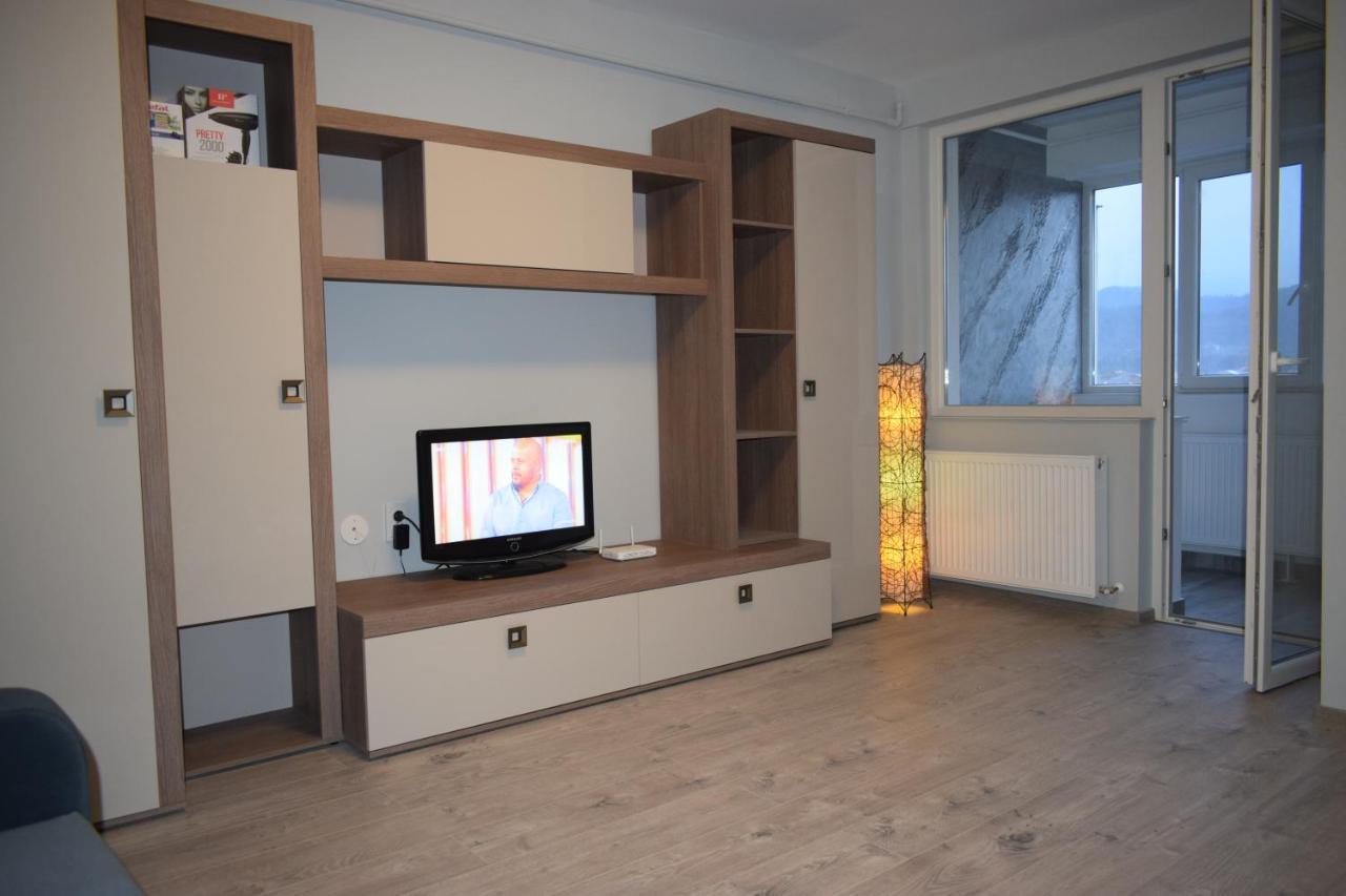 Apartament Palatul De Justitie Rhbm Baia Mare Buitenkant foto