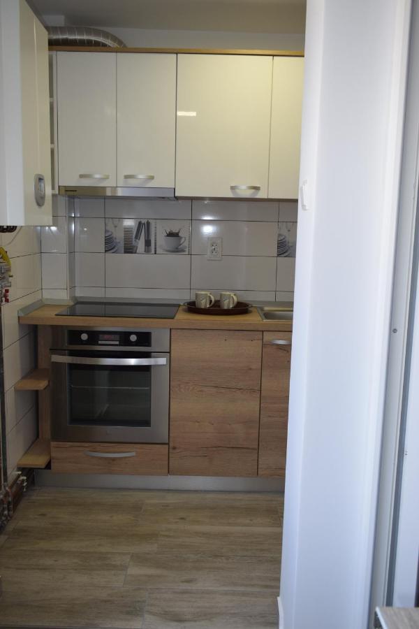 Apartament Palatul De Justitie Rhbm Baia Mare Buitenkant foto